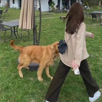 魔鬼的眼
